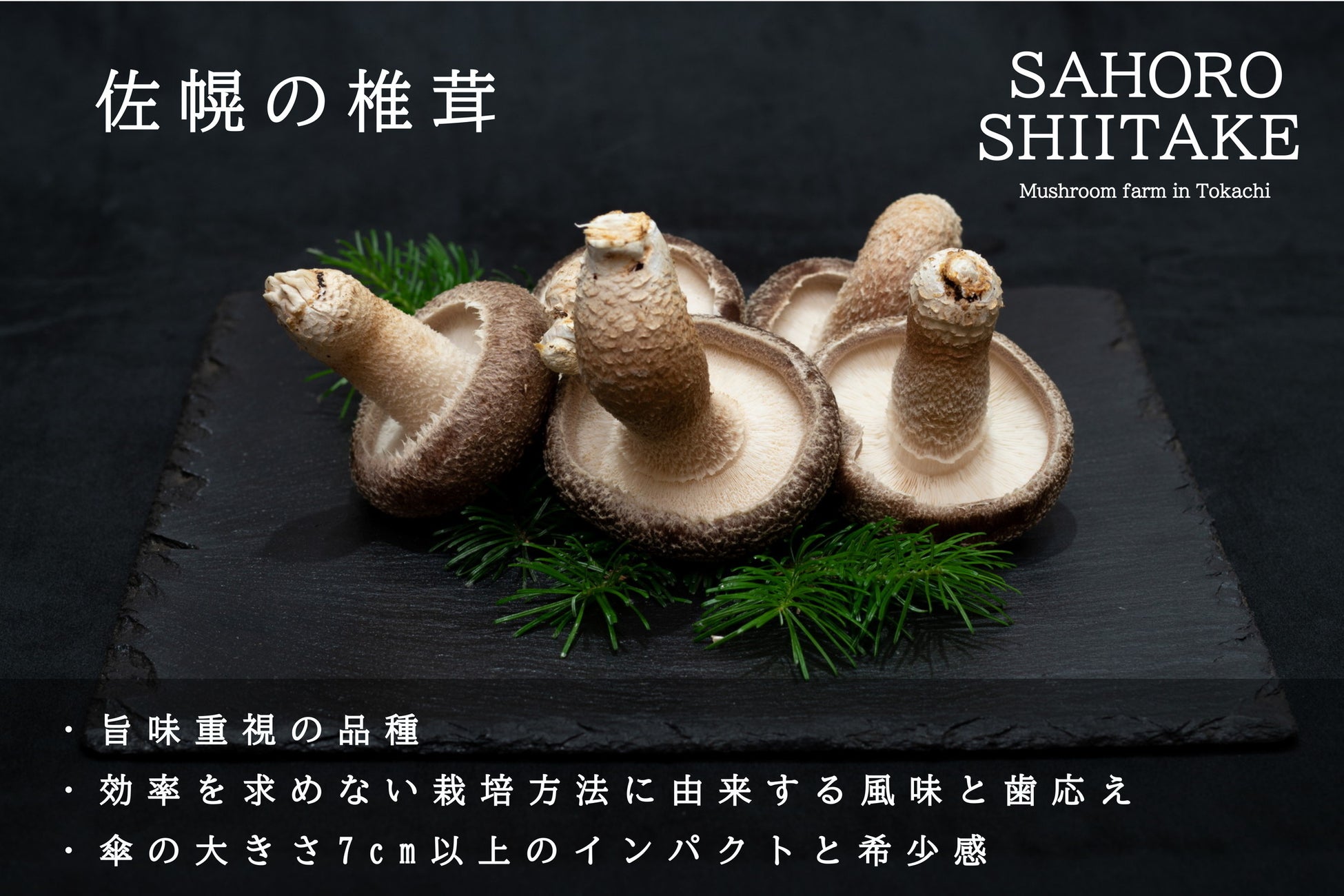 プレミアム『佐幌の椎茸』の初回販売クラウドファンディングを実施のサブ画像2