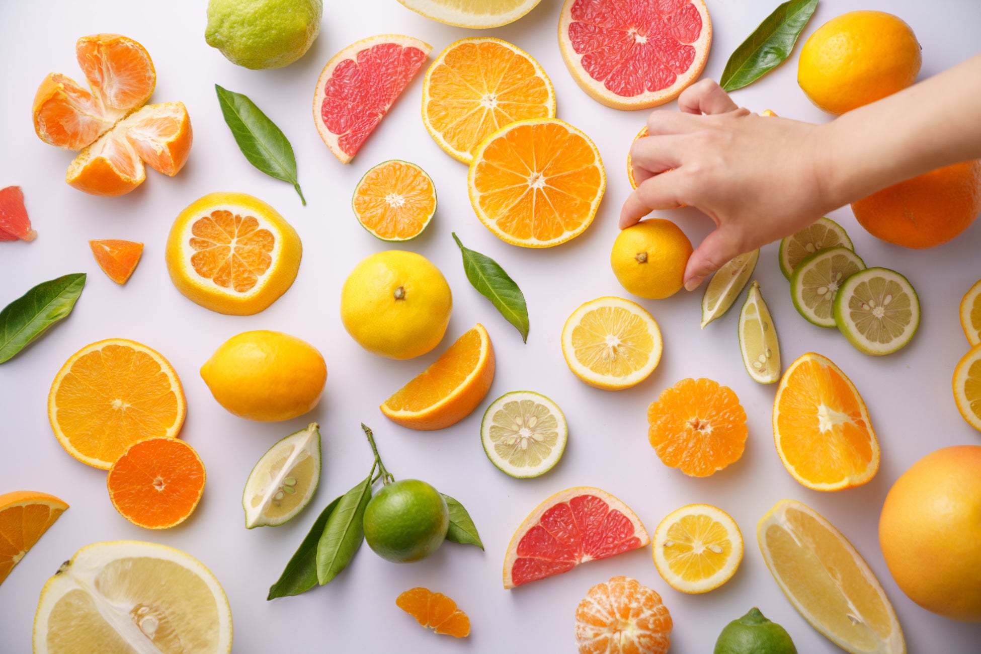和歌山有田みかんを堪能！最大82種類の柑橘食べくらべ定期便「Mikan Mania（みかんマニア）」のサブ画像4