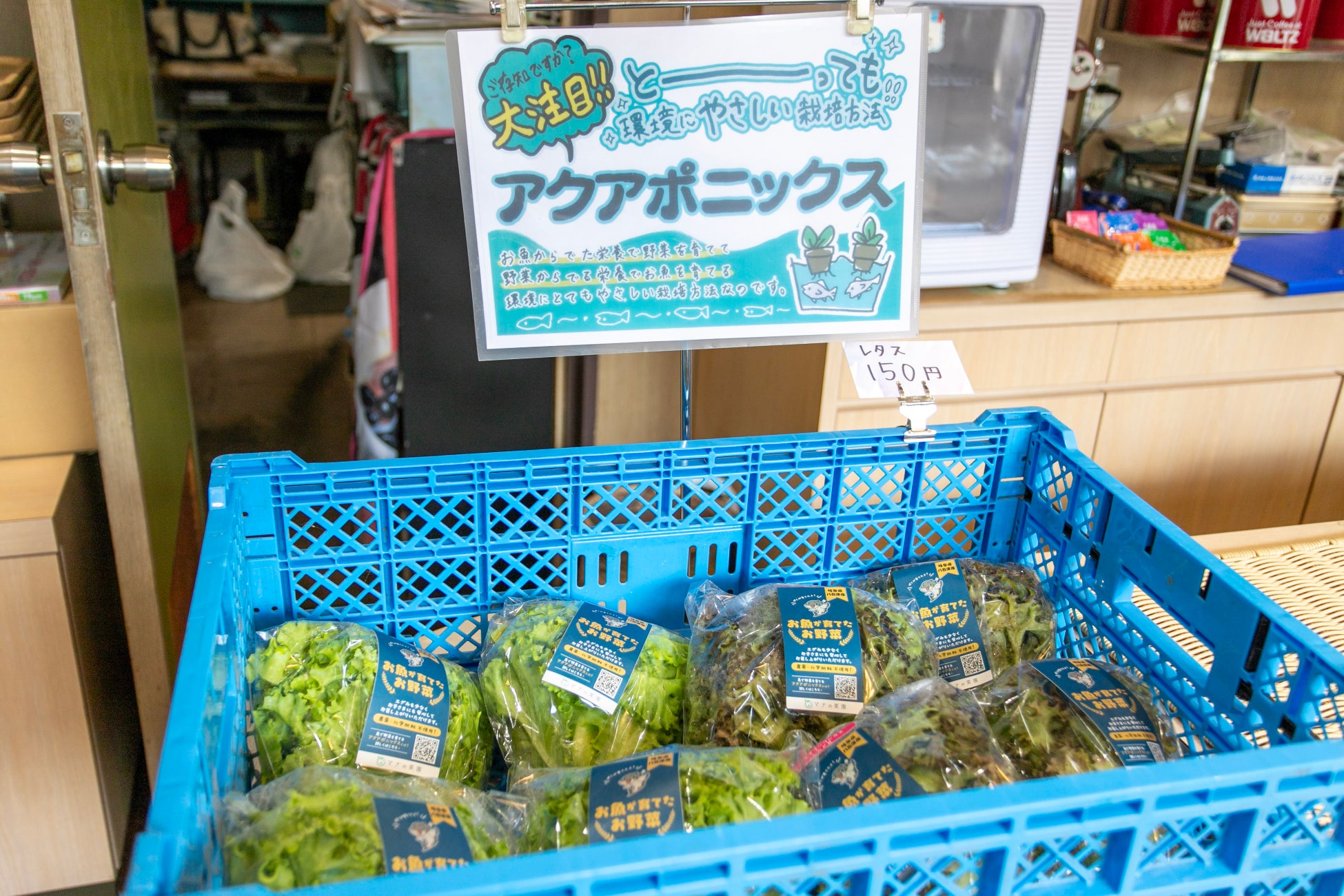 日本最大級のアクアポニックス農場「マナの菜園」の野菜が、岐阜県八百津町の新しいPR商品「おいしい八百津推奨品2023」に選出されるのサブ画像7_nanten店内でも野菜を購入可能