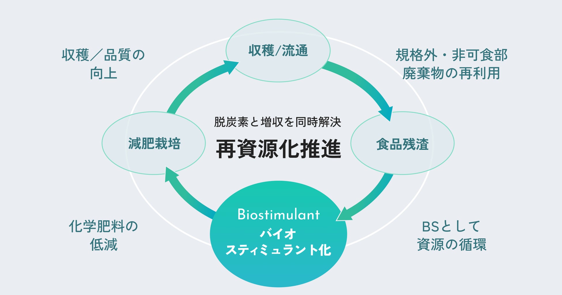 JAきたみらいとAGRI SMILE、日本一の玉ねぎ産地にて残渣型バイオスティミュラントの実用化に向けた共同検証を開始のサブ画像3