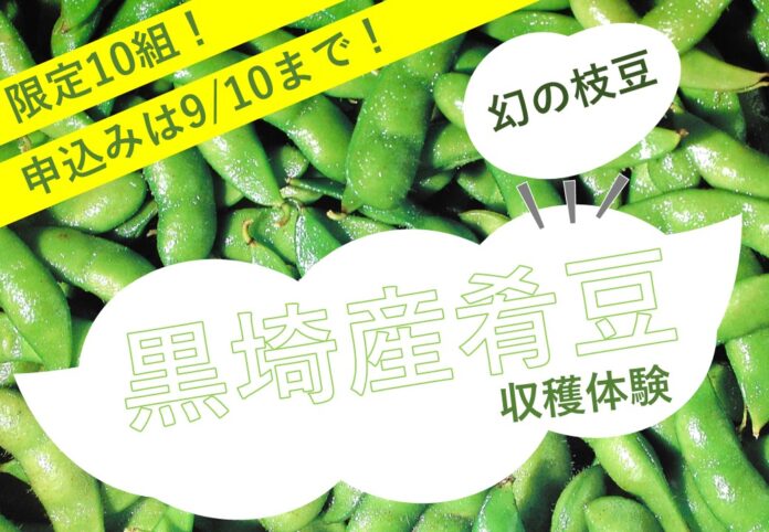 幻の枝豆と呼ばれる『肴豆（さかなまめ）』の収穫体験を新潟市のふるさと納税で。新潟市の誇る貴重な肴豆に触れて感じてもらうために企画から全面サポート。9月10日まで寄附受付中。のメイン画像