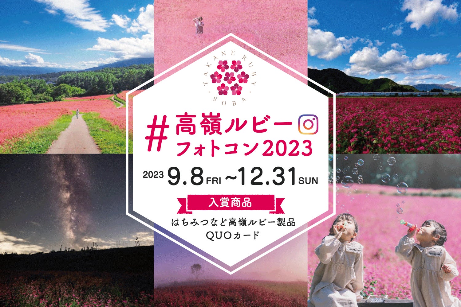 赤いソバの花が咲く「高嶺ルビー」のフォトコンテストを Instagramで開催のサブ画像1_全国 高嶺ルビーフォトコンテスト2023