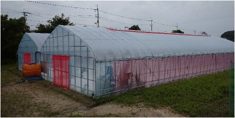 AI潅水施肥システムの「ゼロアグリ」大阪府池田市の先進農福連携農園に導入のサブ画像1_令和5年3月に完成した池田市の農園