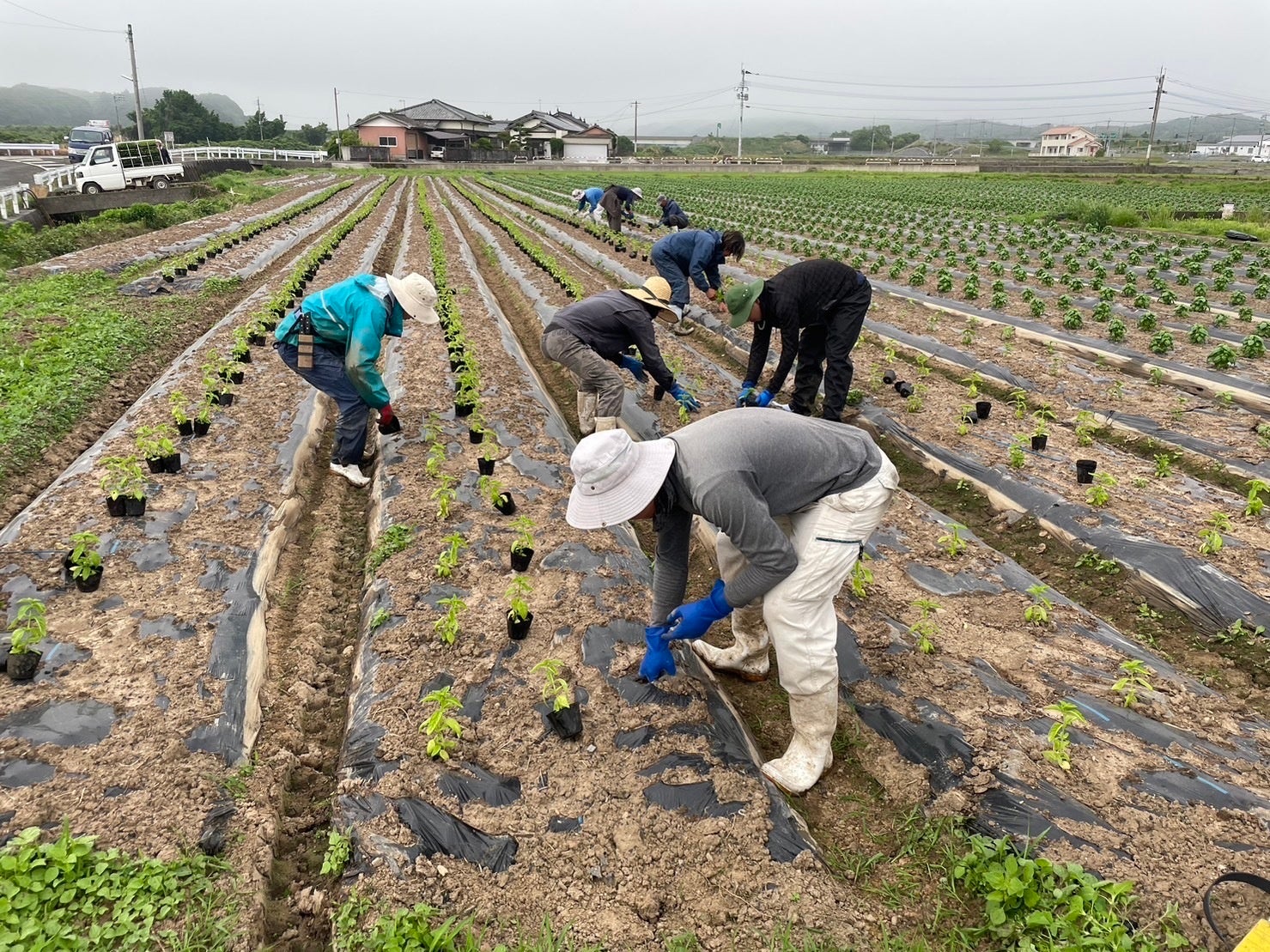 アグリトリオとＪＡ愛知中央会が、労働力確保支援サービス「農Ｈｏｗ®」推進で業務連携協定を締結！のサブ画像9
