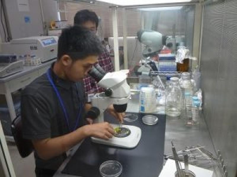 【岡山大学】資源植物科学研究所「第二回大原サマーサイエンスインターンシップ」を開催のサブ画像3_顕微鏡を覗く学生