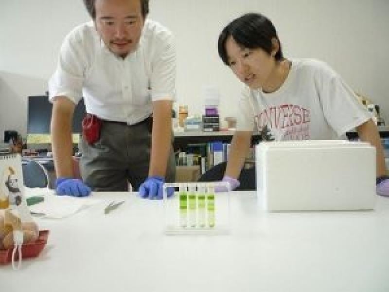 【岡山大学】資源植物科学研究所「第二回大原サマーサイエンスインターンシップ」を開催のサブ画像4_研究体験の様子