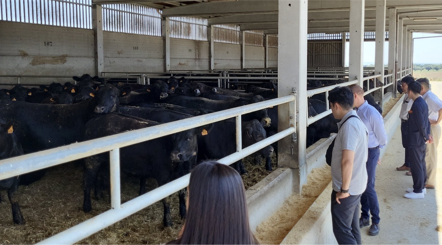 国内6社の食肉輸入業者が「ワンダフルビーフ2.0キャンペーン」を通してプロヴァクーノ主催の欧州・スペイン産牛肉の現地視察へ。参加者が視察の所感を語るのサブ画像3