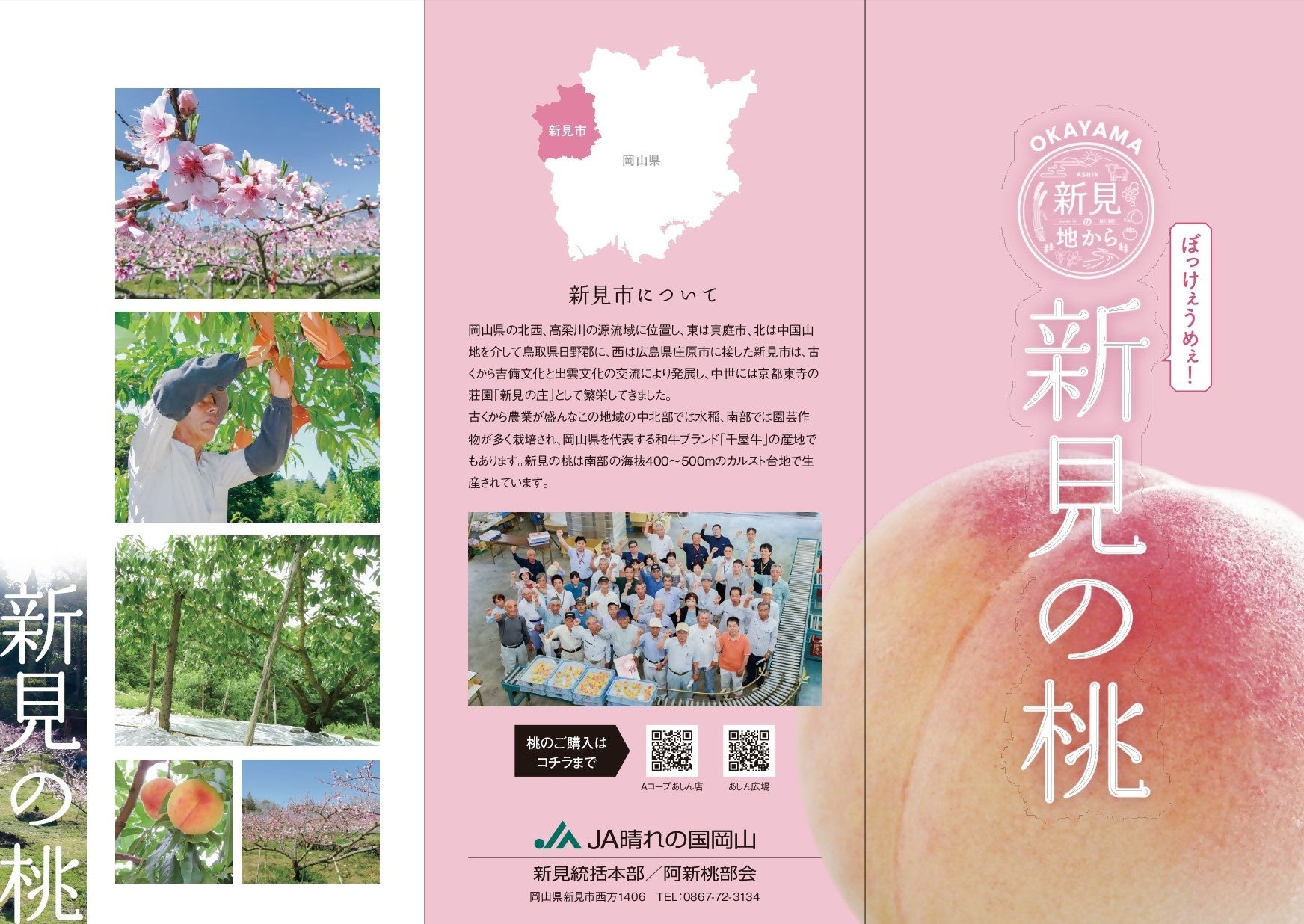 【プレゼント企画】岡山県新見市産赤い桃のリキュール『桃赤（ももか）』が発売のサブ画像4