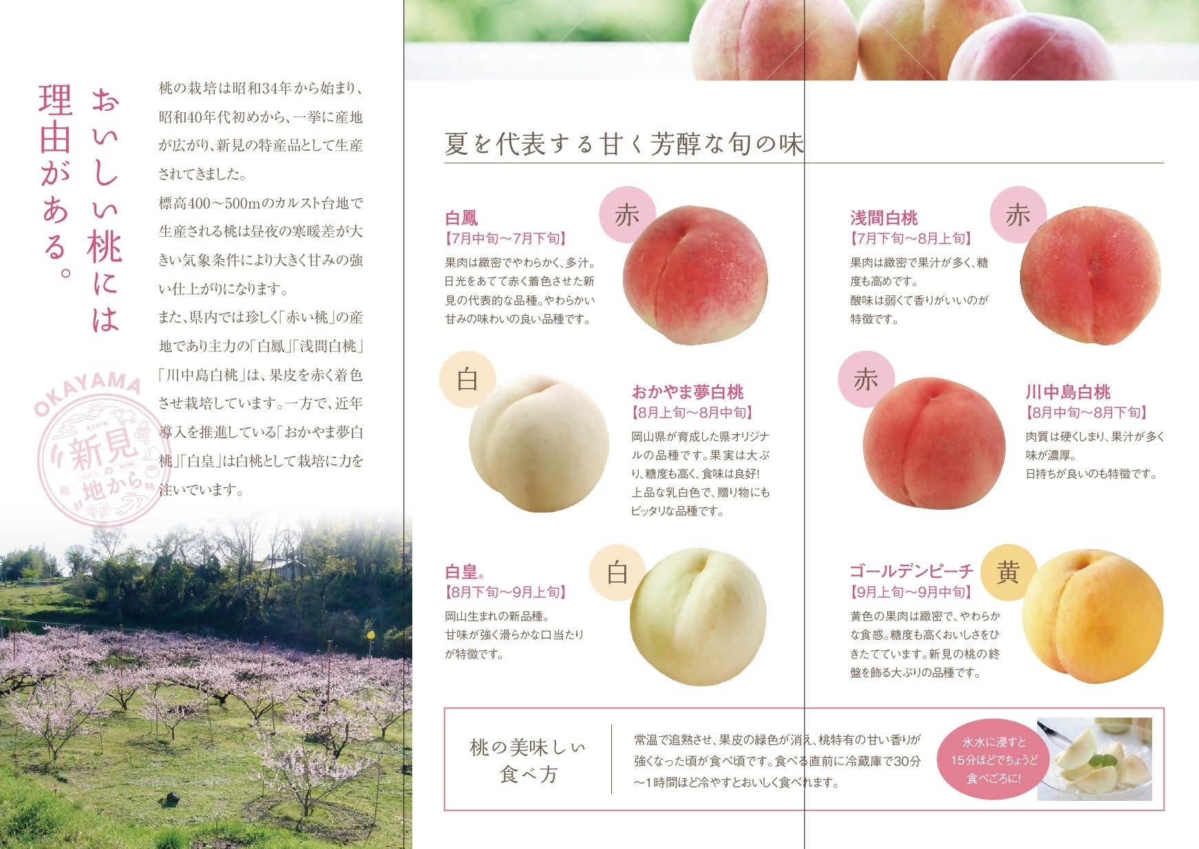 【プレゼント企画】岡山県新見市産赤い桃のリキュール『桃赤（ももか）』が発売のサブ画像5
