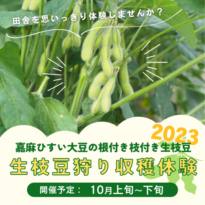 アプリップリが福岡県嘉麻市で開催される「嘉麻ひすい大豆の生枝豆狩り収穫体験」を応援！開催予定日：10月12日～22日のメイン画像