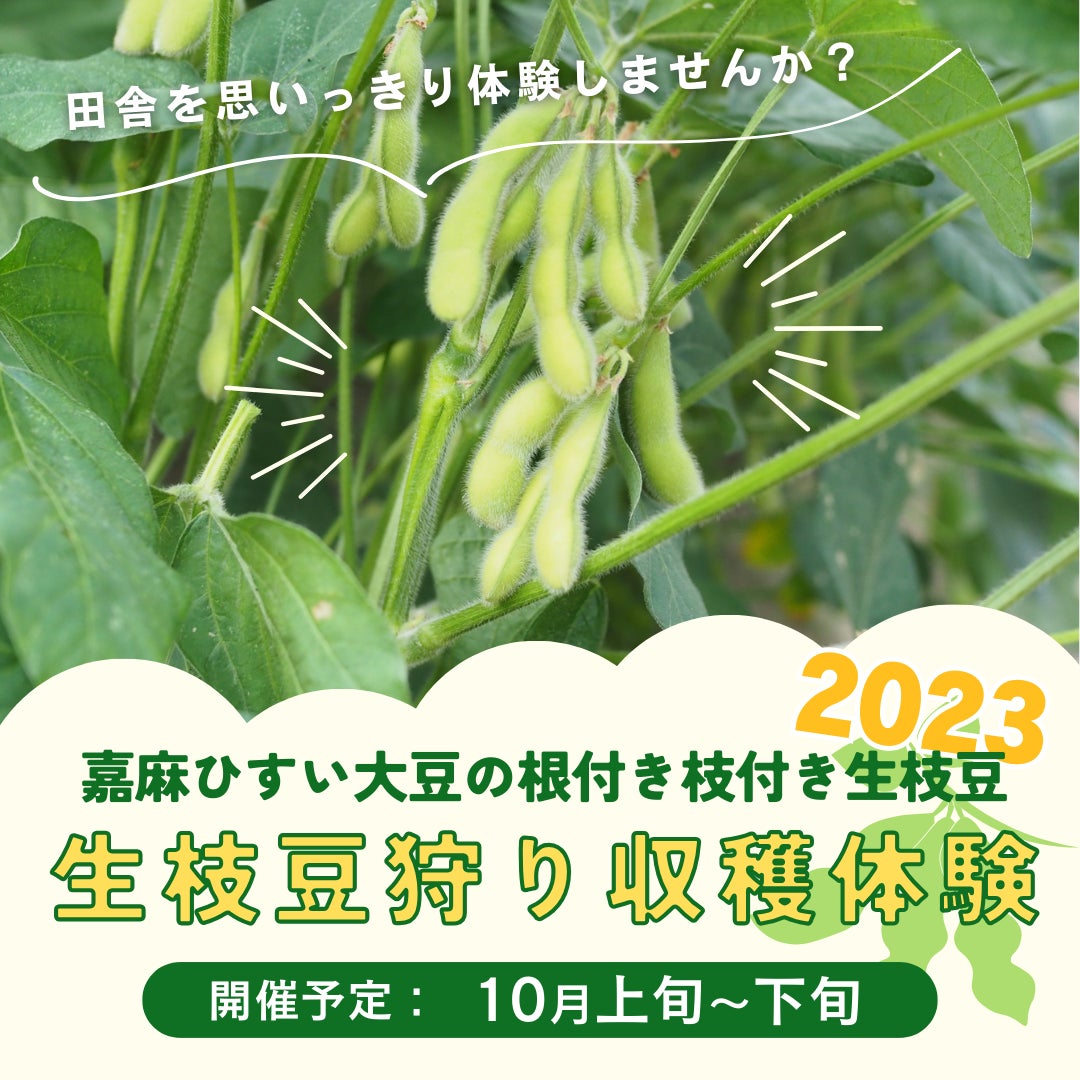 アプリップリが福岡県嘉麻市で開催される「嘉麻ひすい大豆の生枝豆狩り収穫体験」を応援！開催予定日：10月12日～22日のサブ画像1