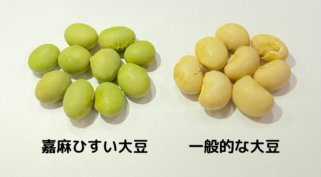 アプリップリが福岡県嘉麻市で開催される「嘉麻ひすい大豆の生枝豆狩り収穫体験」を応援！開催予定日：10月12日～22日のサブ画像2