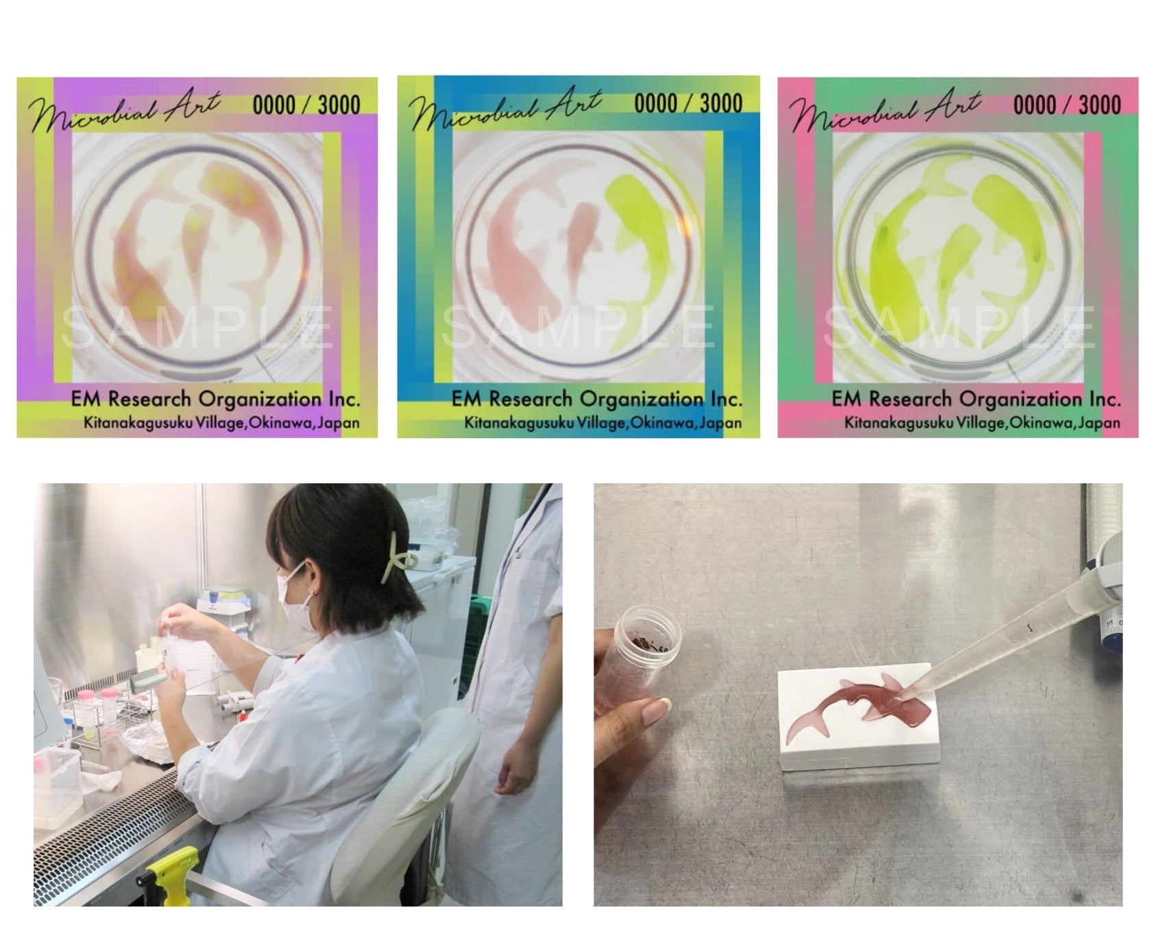 【沖縄×NFT】微生物で描いたNFTアートを数量限定で販売のサブ画像1