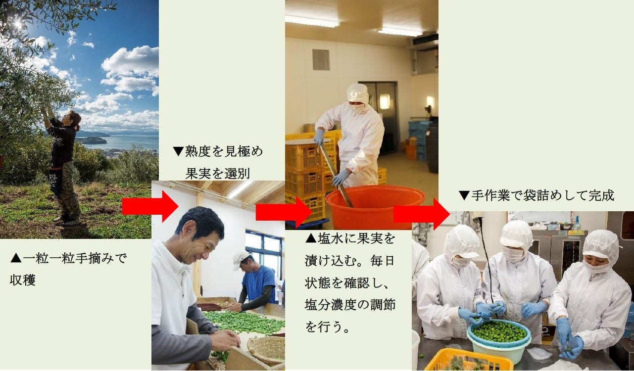 たった2ヶ月しか味わえない旬の味覚 小豆島の農家・井上誠耕園で受け継がれた味 「新漬けオリーブ」のサブ画像7