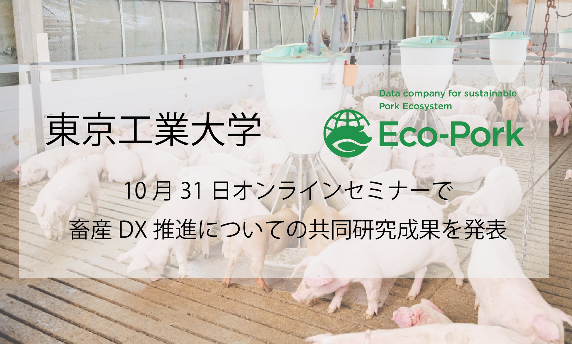 養豚DXのEco-Pork、東京工業大学との共同研究成果を発表のサブ画像1