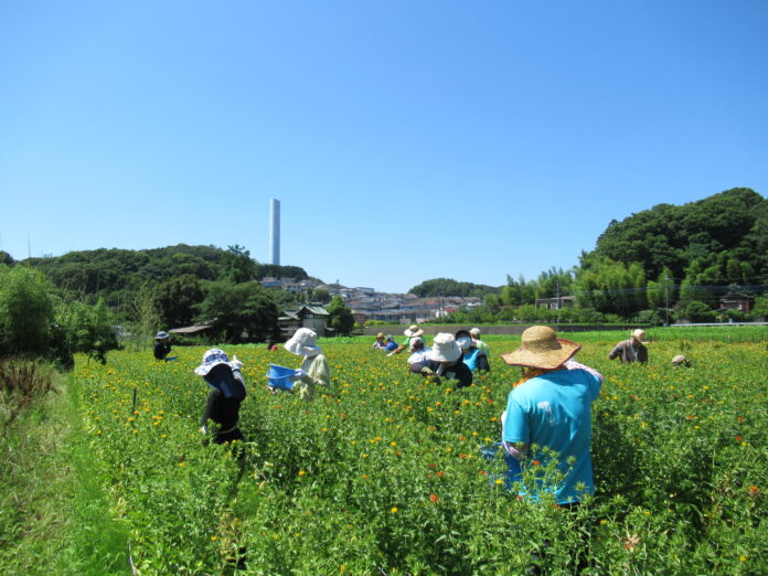 【東京都町田市】下小山田・図師町エリアが「農の風景育成地区」に指定されましたのメイン画像