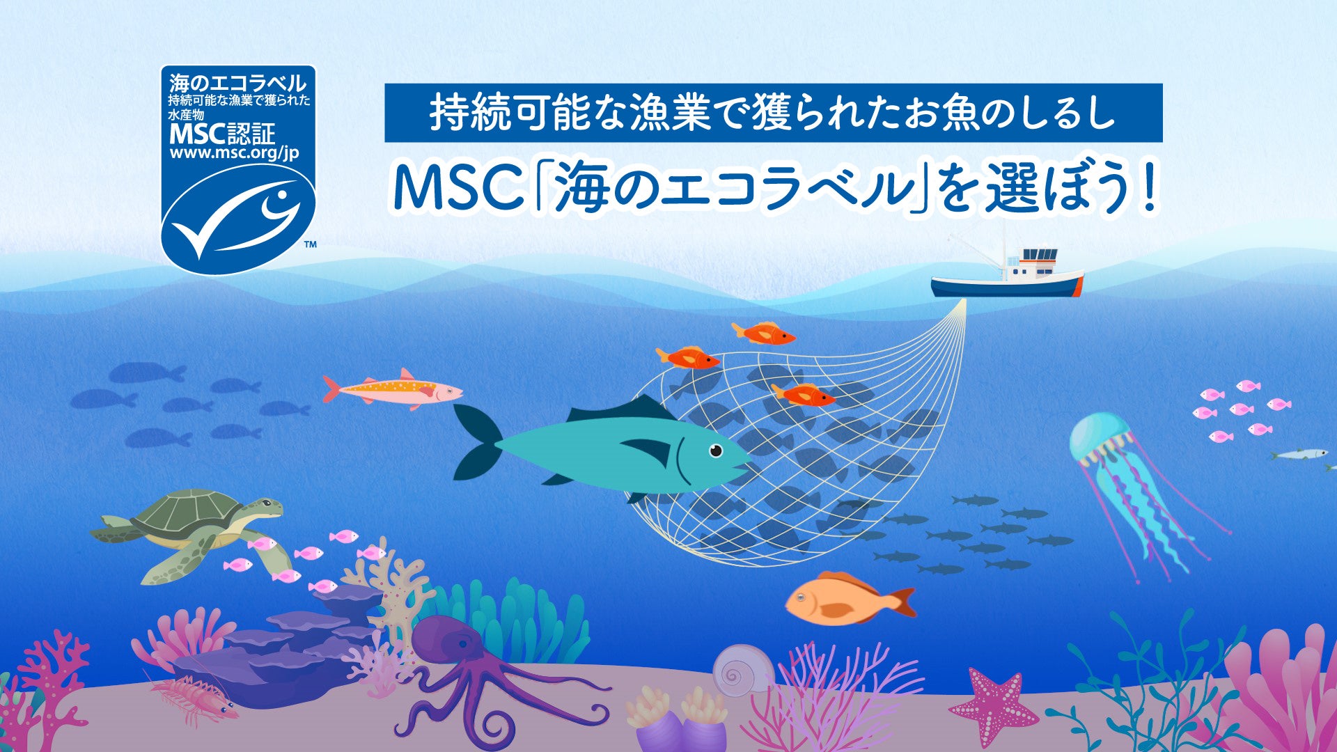 MSC「海のエコラベル」についてのアニメーション動画やプレゼントも　10回目を迎える「サステナブル・シーフード・ウィーク2023」が開催のサブ画像2