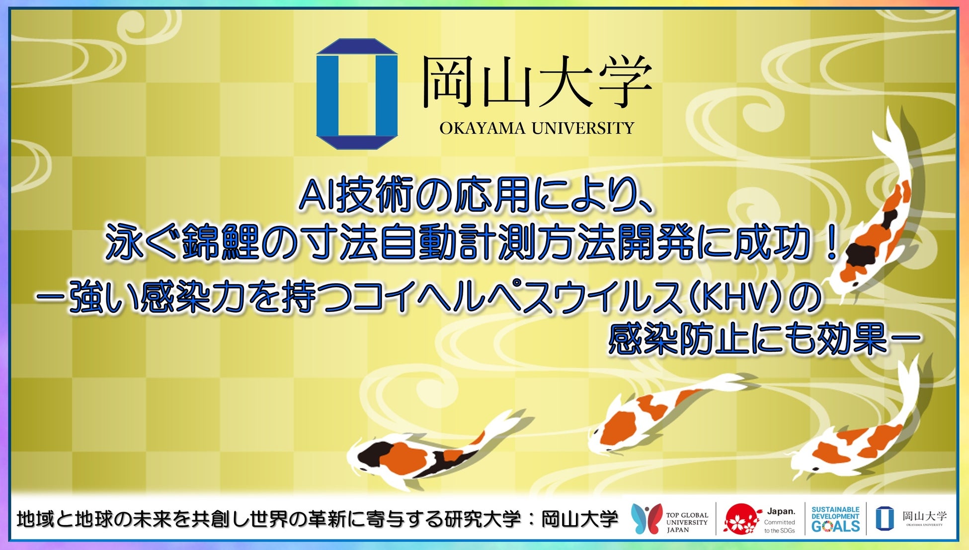 【岡山大学】AI技術の応用により、泳ぐ錦鯉の寸法自動計測方法開発に成功！－強い感染力を持つコイヘルペスウイルス（KHV）の感染防止にも効果－のサブ画像1