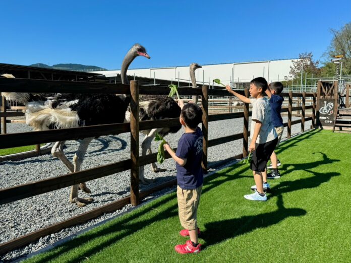 新しい体験を! 美里オーストリッチファーム 「ふれあいエリアのリニューアル」と「Ostrich Museum」の一周年企画展のメイン画像