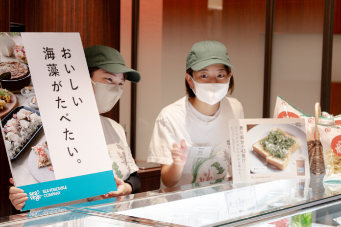 おいしい海藻を届けるシーベジタブル、11月1日から伊勢丹新宿店で二度目のポップアップ出店のメイン画像