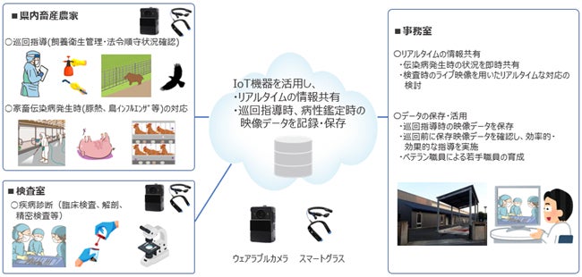 ウェアラブル映像端末による家畜衛生業務の効率化を図る実証実験を実施中　～神奈川県家畜保健衛生所における「スマート畜産」の取り組み～のサブ画像2