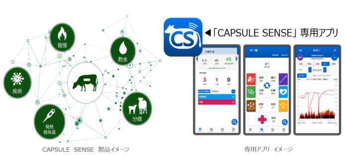 CAPSULE SENSE（カプセルセンス） 2023年