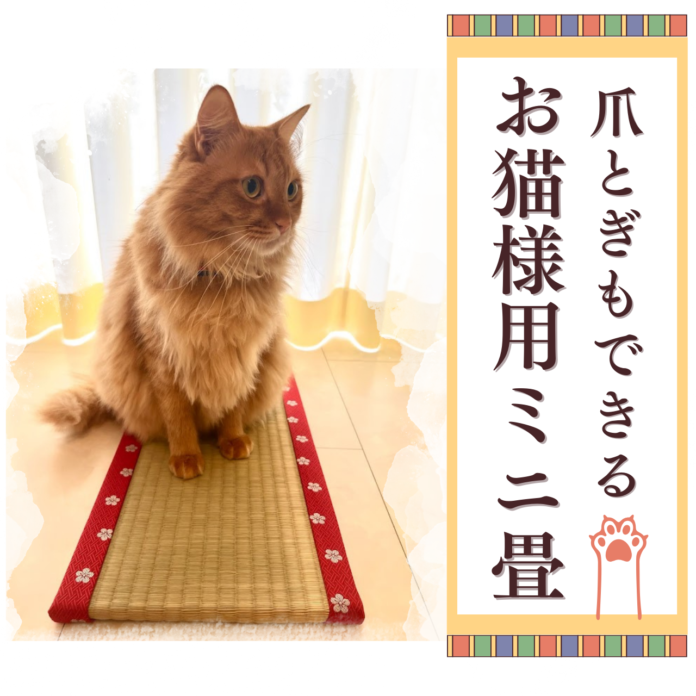 猫好き必見！熊本県産い草100%「お猫様専用ミニ畳」予約販売を開始しましたのメイン画像