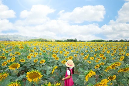 ひまわりの力で田舎を元気に！たいよう農園、雨にも負けずフォトコンテスト開催！のサブ画像2