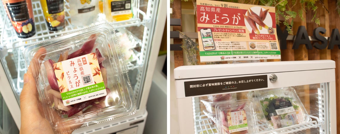 約3人に1人のオフィスワーカーが試食から購入へ！「オフィスで野菜」、高知県産のみょうがを2,000人にオフィスで無料配布のサブ画像3