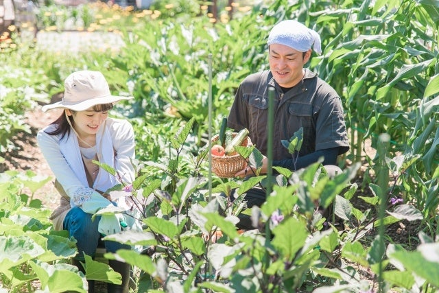 農業×福祉　障害者の力を借りる農福連携を学ぶセミナーを愛知県豊橋市が開催のサブ画像2