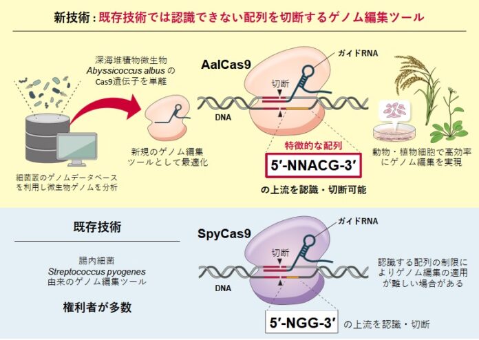 特徴的な配列を認識してゲノムを切断！のメイン画像