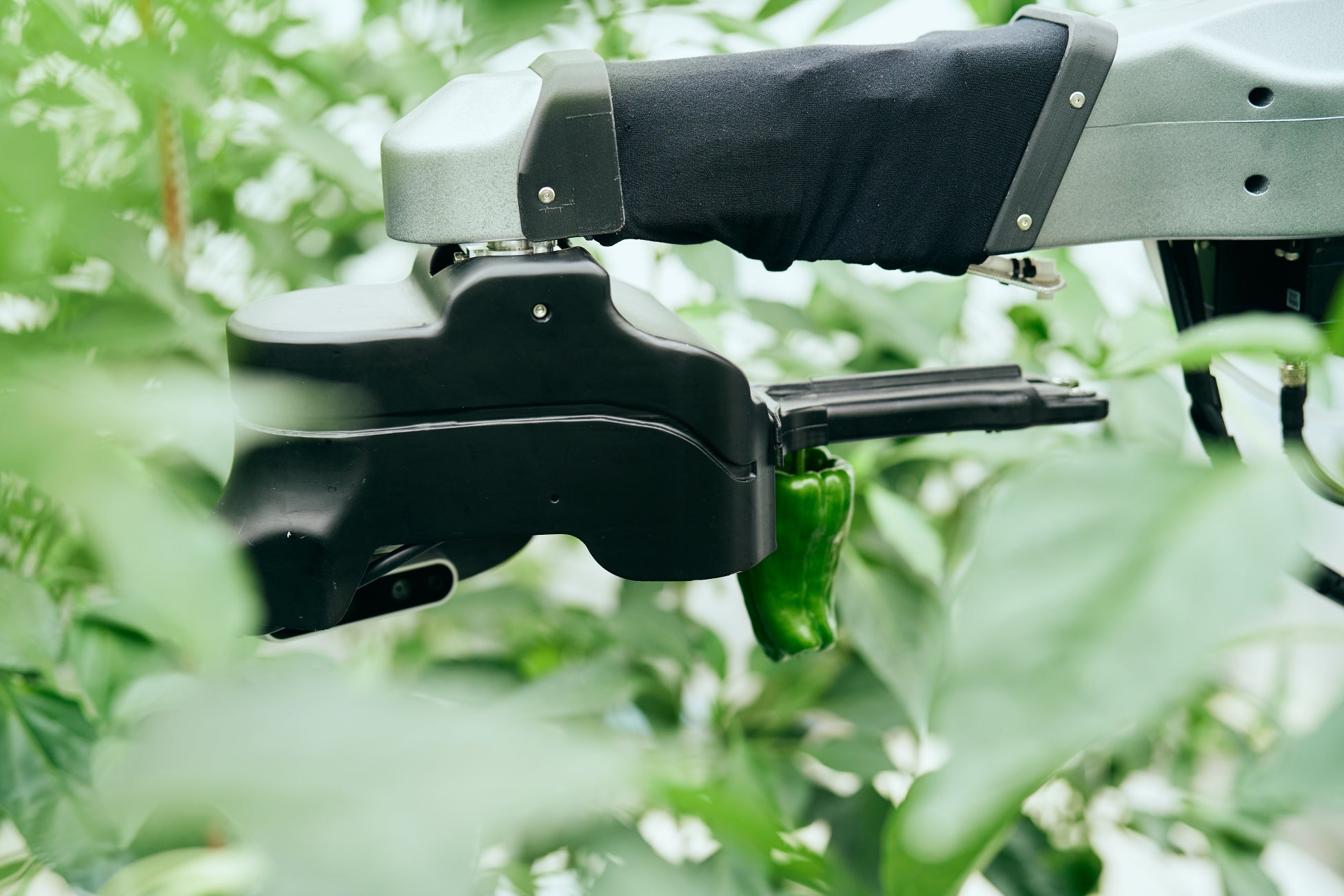 農業の担い手不足を解消 - AGRIST株式会社がJR九州ファーム株式会社様、他2農家と協力し、AI収穫ロボットを実証実験として導入。ピーマン農家の生産性向上に貢献。のサブ画像2