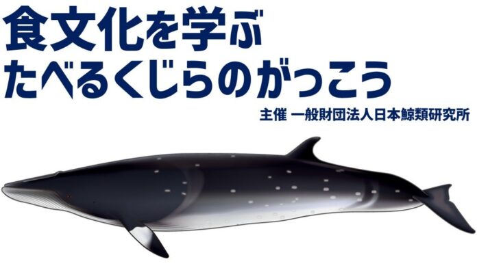 親子で鯨の持続的利⽤や鯨食文化を学ぶ「たべるくじらのがっこう」をさかな文化祭で開催のメイン画像