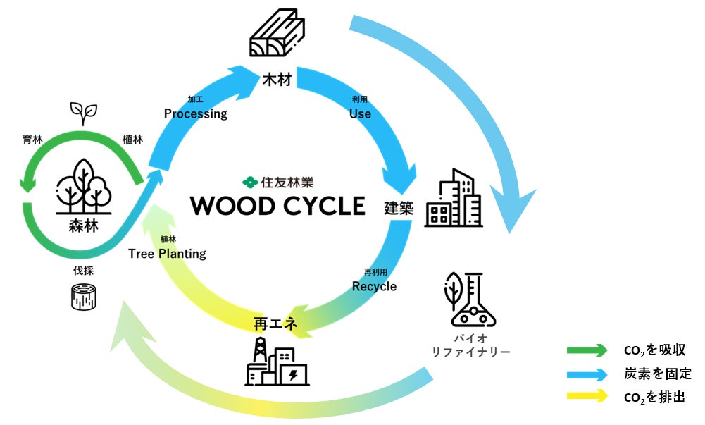 木質バイオマス化学品の研究開発に着手 ～木材の成分分離技術の確立で木のカスケード利用を促進～のサブ画像1