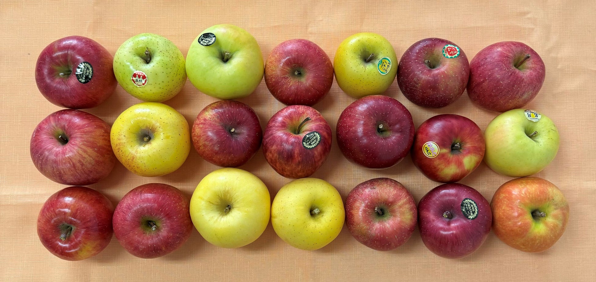 野菜ソムリエが選んだ、今年のおいしい「りんご」No.1が決定！「第２回 全国りんご選手権」山形県・白田 憲彦さんの『はるか』が最高金賞を獲得！のサブ画像2