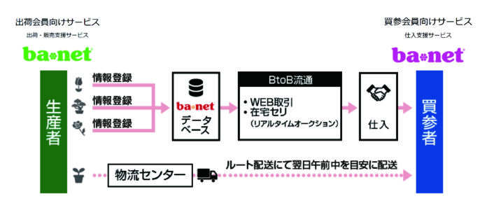 オークネットAGインターネット花市場「ba*net」の花き生産者向けサービスをフルリニューアルのメイン画像