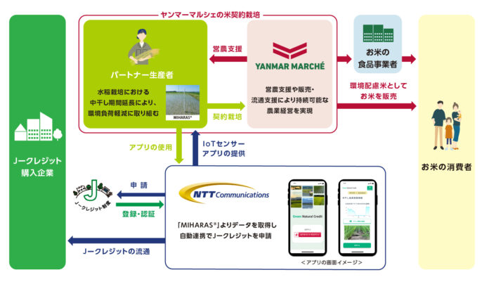 ヤンマーマルシェとNTT Com、「水稲栽培における中干し期間延長の方法論」 によりJ―クレジットを創出、NTT Comが販売を開始のメイン画像