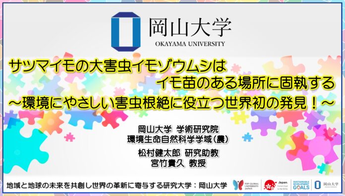 【岡山大学】サツマイモの大害虫イモゾウムシはイモ苗のある場所に固執する ～環境にやさしい害虫根絶に役立つ世界初の発見！～のメイン画像