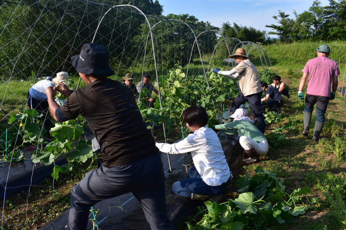 【新たな有機農業就農者を応援！】熊本県にある有機の学校「ORGANIC SMILE」が、3期目の生徒を迎えます！のメイン画像