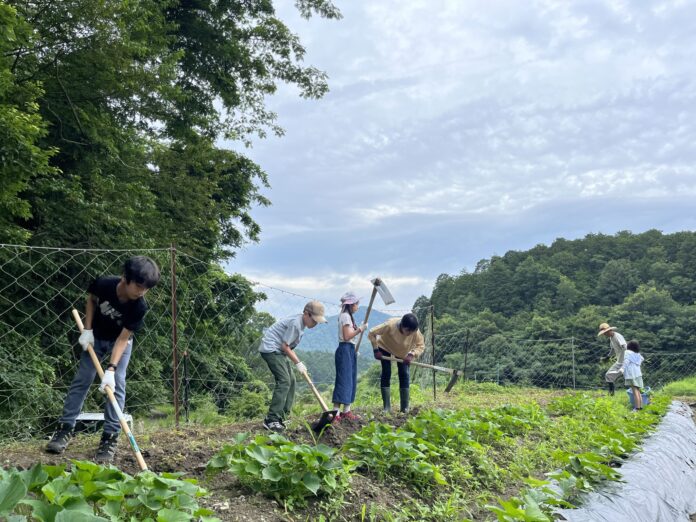 兵庫県川西市の里山で、2024年5月8日から貸農園を始めます＜兵庫県川西市＞のメイン画像