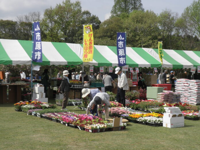 【千葉県市原市】第42回　市原市園芸まつりを開催のメイン画像