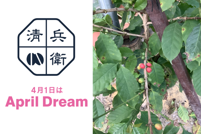 全国の耕作放棄地をコーヒー農園にしたい。47都道府県で栽培にチャレンジ！のメイン画像