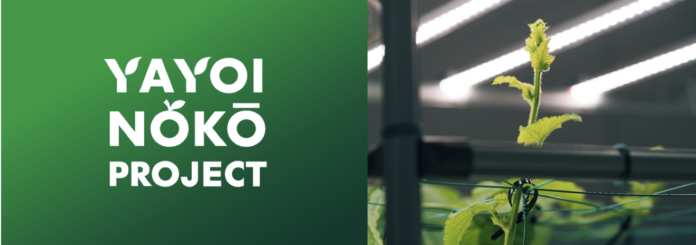 創業90年を超えるインテリア用接着剤老舗メーカー、ヤヨイ化学工業の新プロジェクト「YAYOI NŌKŌ PROJECT」第2期メロン栽培を開始のメイン画像