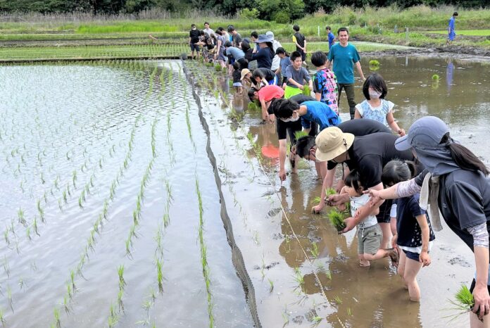 収穫米の一部を「ひとり親家庭」へ寄付パソナハートフル『田植え体験会』 柏市で5月11日(土)開催のメイン画像