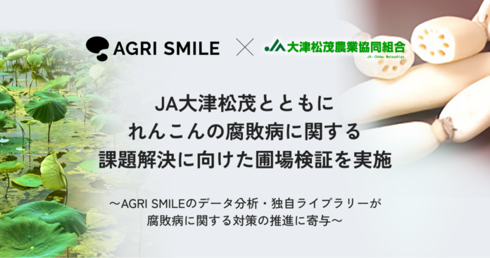 AGRI SMILEとJA大津松茂、れんこんの腐敗病に関する課題解決に向けた圃場検証を実施のメイン画像