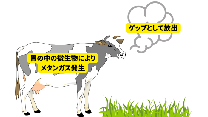 牛のゲップによるメタンガス排出削減に向け「カギケノリ」の共同研究を開始のメイン画像