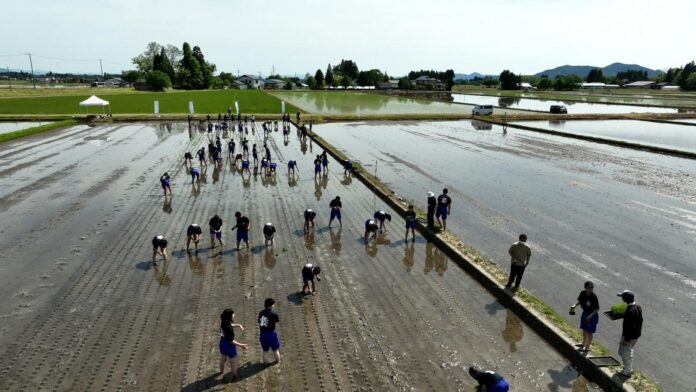 地元の中学生が農業の現場から海ごみゼロ宣言！【脱プラスチック肥料を使用した米作りで海ごみゼロ宣言！田植え篇】を開催！のメイン画像