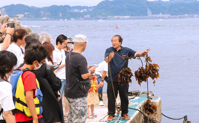 海の森をつくるブルーカーボンベルトを提唱するリビエラは日本初のマリーナ藻場再生サイトにて、見学会を【リビエラ逗子マリーナ（神奈川県）】で6/23・7/2に開催決定！参加者募集中！のメイン画像