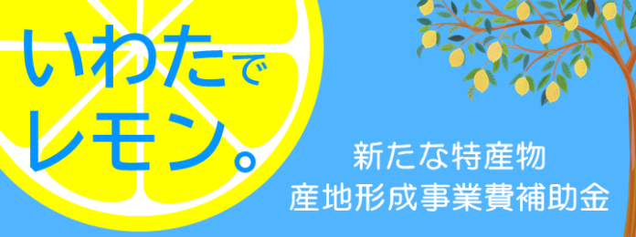 【静岡県内初】レモンの産地化による地域活性化のための連携協定を締結しましたのメイン画像