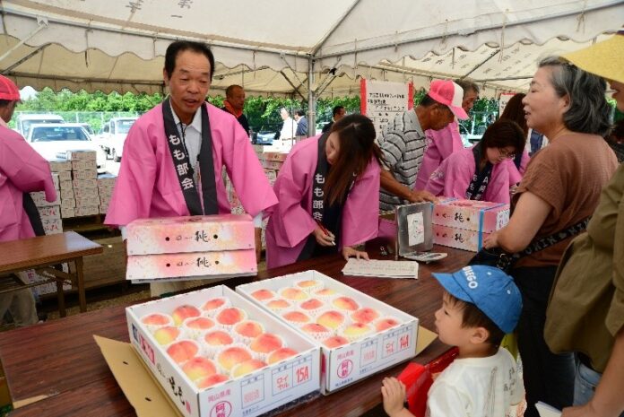 これからが旬の桃。「草間もも直売まつり2024」が開催されます。～岡山県新見市は、県内唯一の「二桃流」の産地です～のメイン画像